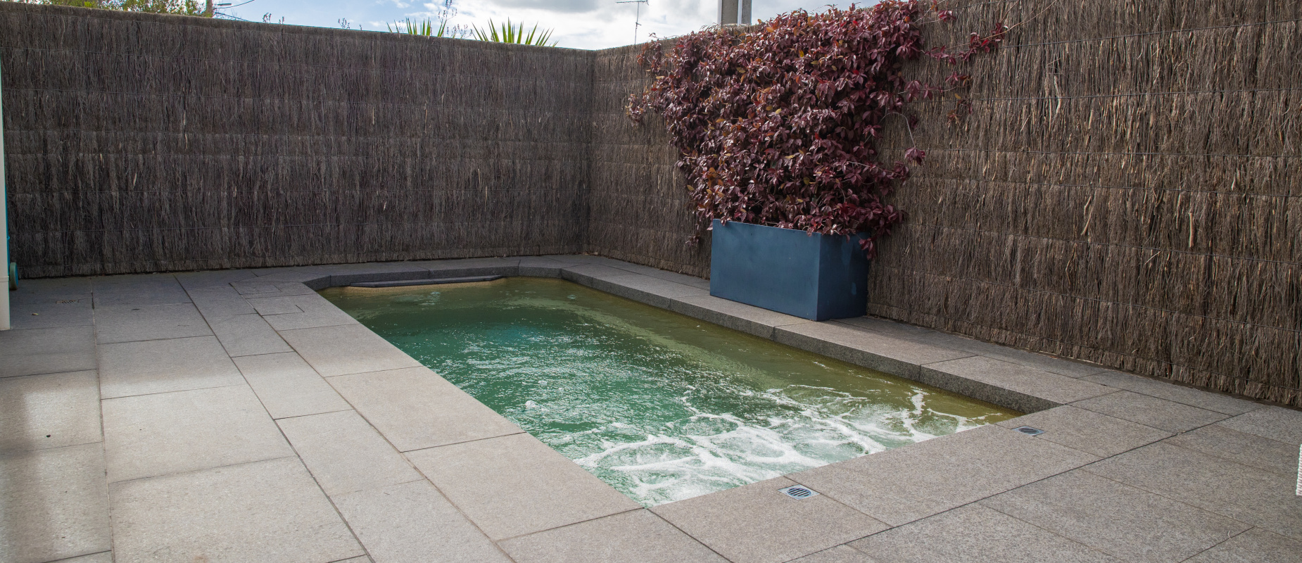 Compass-Pools-Australia_Plunge-Courtyard_Small-pool-with-tiled-around