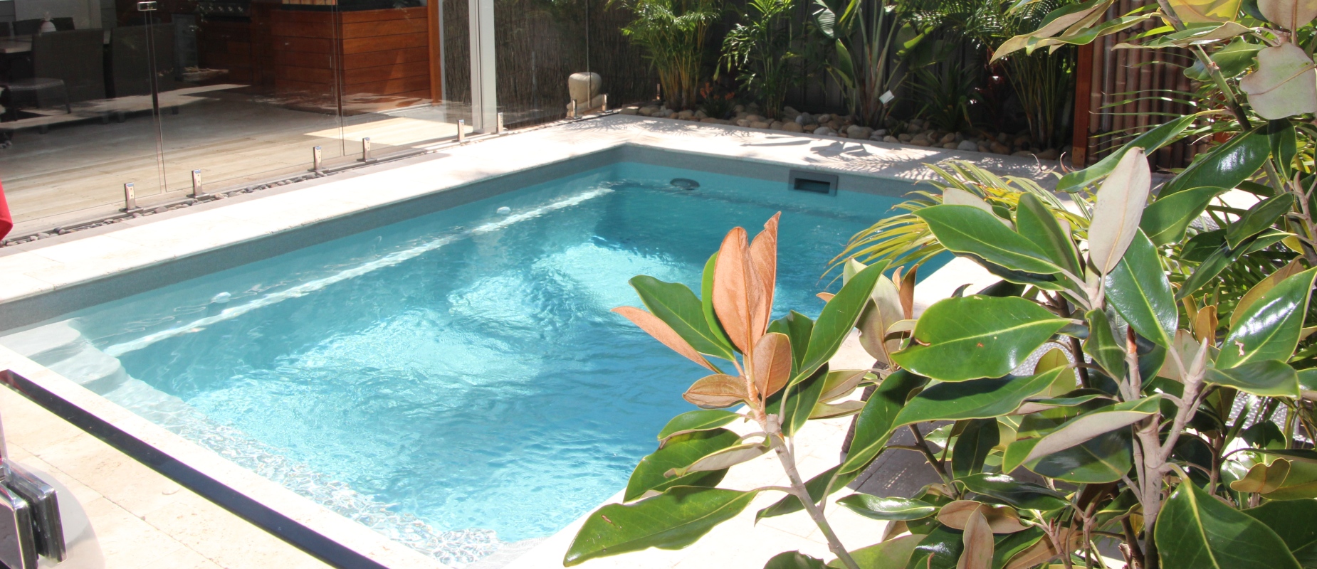 Compass-Pools-Australia_Plunge-Courtyard_Tropical-pool-design-idea